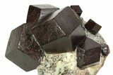 Polished Almandine Garnets in Schist - Tyrol, Austria #352078-3